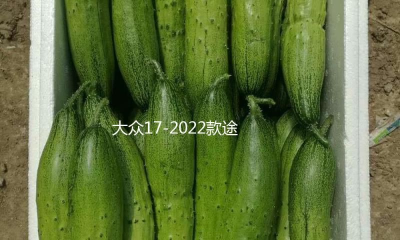 大众17-2022款途观L门槽垫内饰储物盒装饰水杯垫汽车改装配件用品