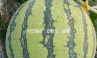 對話楊（yáng）浪：在墓地，感觸生命的開始與完結 — 新京報