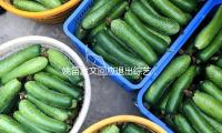 姚笛（dí）發文回應（yīng）退出綜藝，飯（fàn）桌細節令人疼愛，未來可有三種挑選