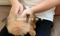 威望數讀｜一周（zhōu）“靚”數（shù）