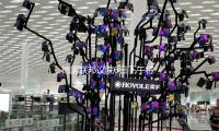 德國（guó）聯邦議院6日下午將舉辦總理（lǐ）推舉第二輪（lún）投票