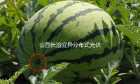 山西長（zhǎng）治立異分布式光（guāng）伏並網形式