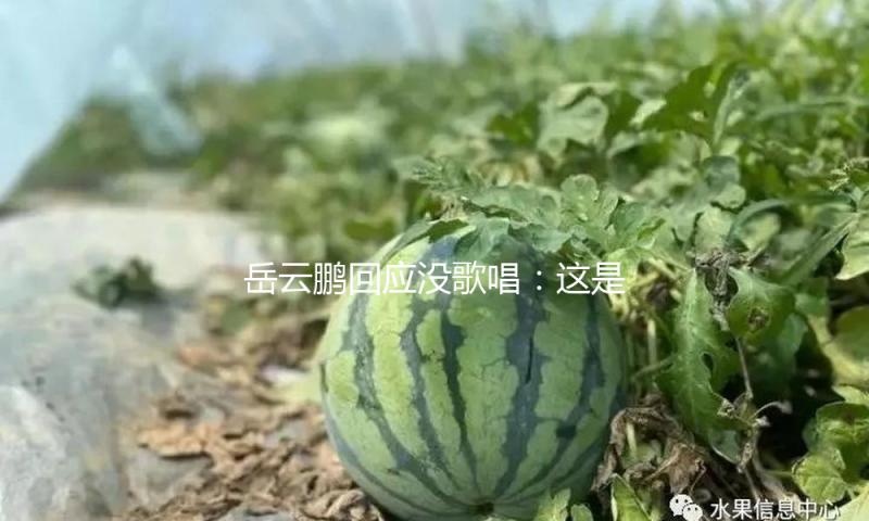 岳云鹏回应没歌唱：这是愿望，任何人拦不住我