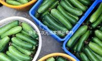 快手二次元獨家（jiā）播出奧特曼（màn）演唱會，引8506萬人（rén）次（cì）觀看
