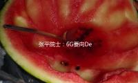 張平院士：6G要向DeepSeek學（xué）習，從企業需求動（dòng）身（shēn）做立異 — 新京報（bào）