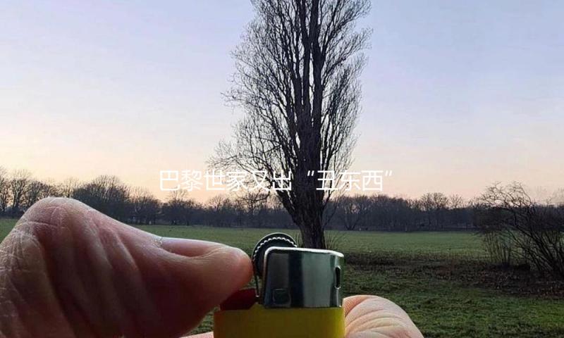 巴黎世家又出“丑东西”，内裤剪一刀就敢卖4500
