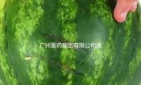 廣州醫藥集團有限公司原黨委書（shū）記、董事（shì）長李楚源被“雙開”