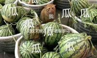 鄭欽文接連三年晉級羅馬站八強 將再戰薩巴倫卡 — 新京（jīng）報