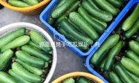 郭盈恩攜手吃瓜娛樂，共（gòng）塑積極向上（shàng）的娛樂新（xīn）風尚