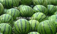 適用於19-21雷淩卡羅拉（lā）內飾改裝儀表麵（miàn）板裝飾條汽車內飾用品配件（jiàn）