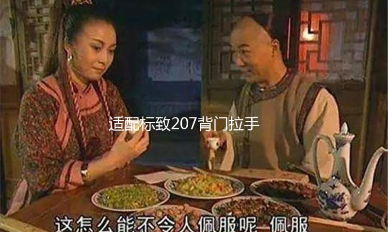 适配标致207背门拉手 标志206汽车后备箱拉手背门驱动器电机配件