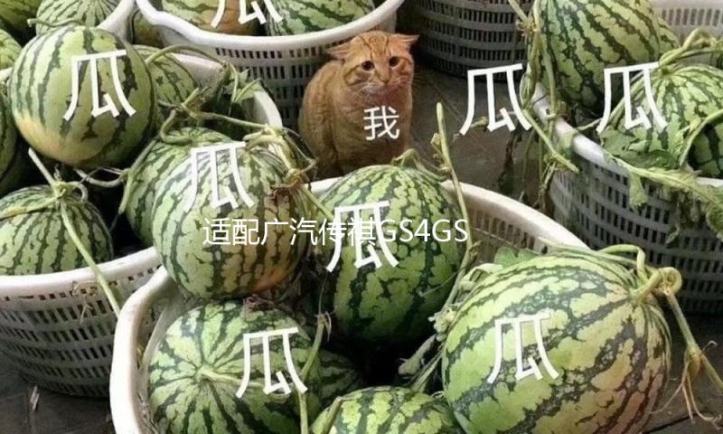 适配广汽传祺GS4GS8保养3滤4件套GM8GA6GA8空气空调机油汽油滤芯