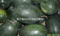 那（nà）個靠白襯衫成（chéng）名的奢華（huá）品牌