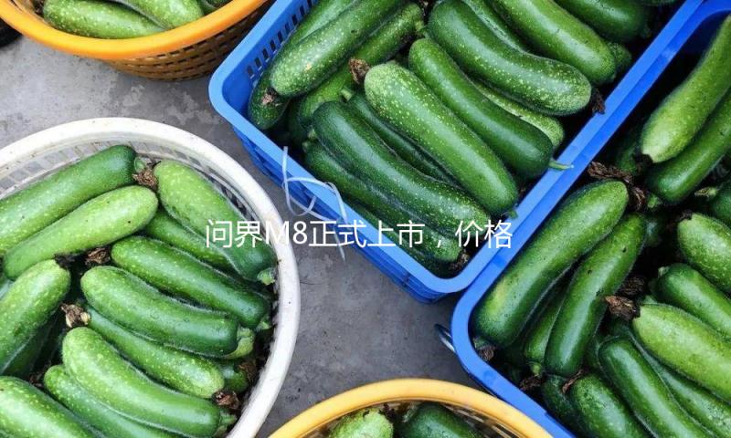 问界M8正式上市，价格35.98万元起 — 新京报