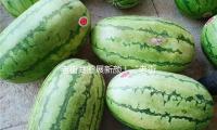 老街商圈展新（xīn）顏！“老街區+非遺文（wén）立異業態”激活消費“青（qīng）春活力”