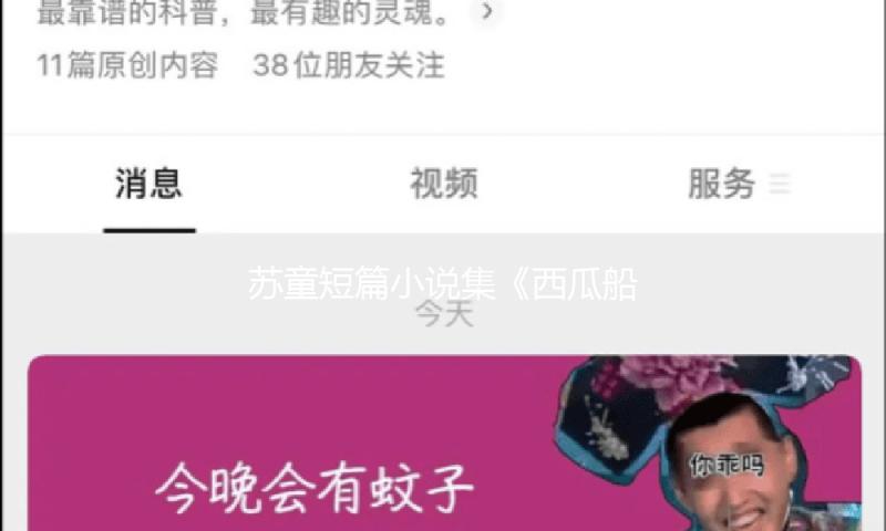 苏童短篇小说集《西瓜船》：安静的张狂，总好过无声的屈服 — 新京报