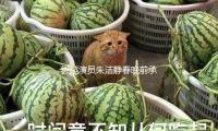 舞蹈演員朱潔靜春晚前承受放化療25次 並未告（gào）知家（jiā）人到北京