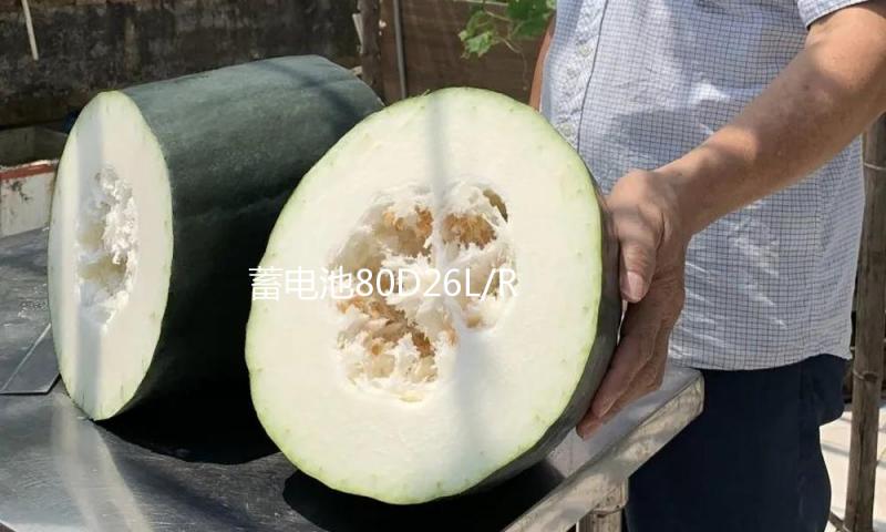 蓄电池80D26L/R适配凯美瑞锐志汉兰达B570马自达比亚迪S6汽车电瓶