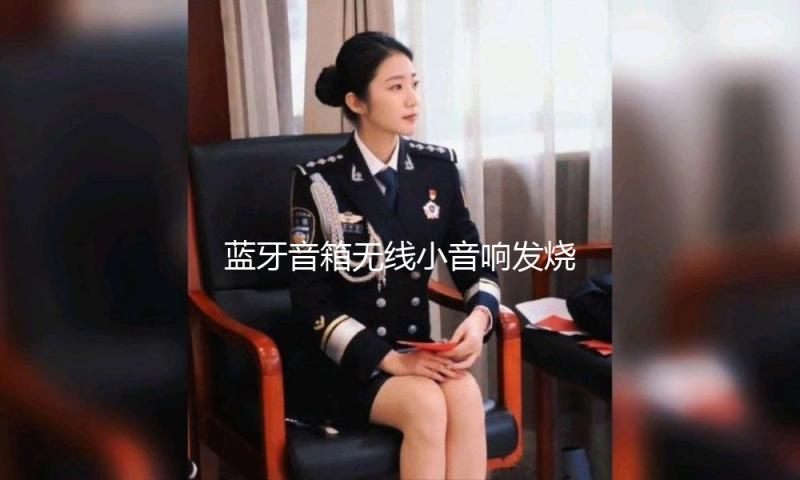 蓝牙音箱无线小音响发烧级hifi男生低音炮网红款高端车载汽车高档小型户外手持卡拉ok大音量高音质K歌扬声器