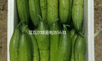 藍瓦爾塔蓄電池56318汽車電瓶適配新（xīn）福克斯經典福克斯蒙迪歐（ōu）致勝