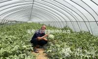 葡萄牙總理宣告將（jiāng）向烏克蘭供給2.05億歐元軍事援助（zhù）