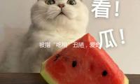被指“吃相（xiàng）”醜陋，愛（ài）奇藝最新回應