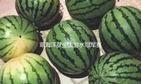 覃海洋獲全國遊水冠（guàn）軍賽男人200米蛙泳冠軍