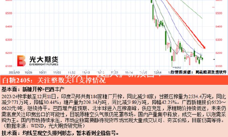视频｜《超人》新预告：“地表最强”打怪兽