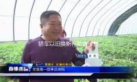 轎車以舊換新補助請（qǐng）求量打破1000萬份
