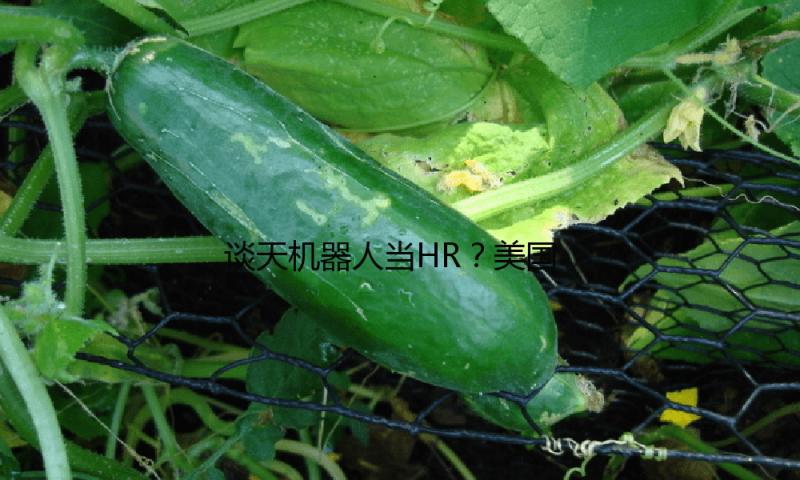 谈天机器人当HR？美国国务院用人工智能帮忙选拔人员