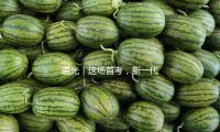 追光（guāng）｜這場首（shǒu）考，新（xīn）一代中國女排交出高分答卷