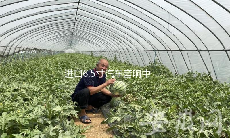 进口6.5寸汽车音响中重低音发烧车载喇叭改装适用于迈腾别克等车