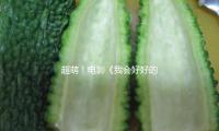 超萌（méng）！電影《我會好好的》發布特輯 特別主演小狗塔塔作業花絮大揭秘