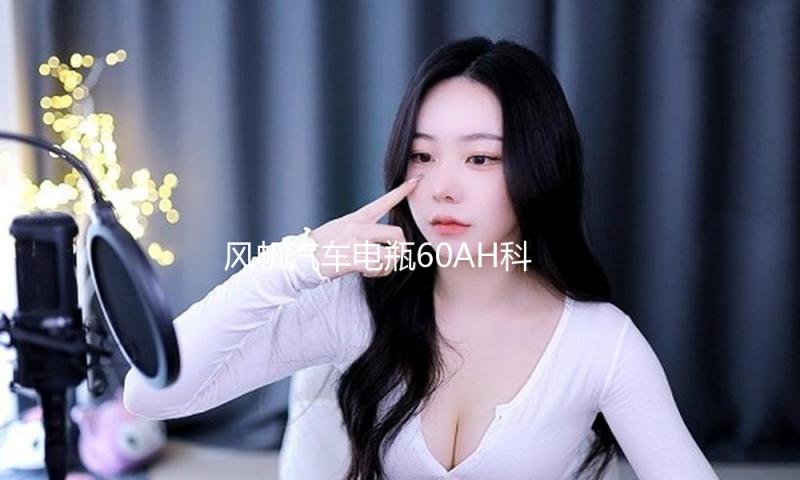 风帆汽车电瓶60AH科鲁兹君威君越新速腾迈腾英朗宝来高尔夫蓄电池