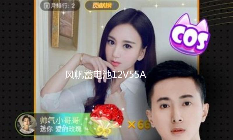 风帆蓄电池12V55AH福特55-27嘉年华翼博马自达2/3长城C30汽车电瓶