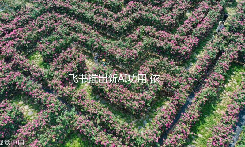 飞书推出新AI功用 依据企业与互联网信息生成答案 — 新京报