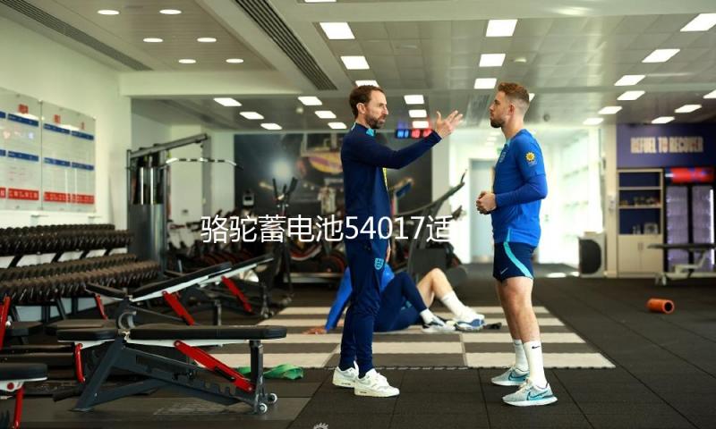 骆驼蓄电池54017适配比亚迪F0汽车54534风行SX6腾翼宝骏510电瓶