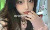 駱駝蓄電池55519適配福克（kè）斯傳祺賽歐名爵汽車電瓶55ah 以舊換新