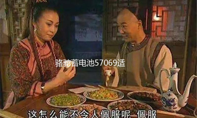 骆驼蓄电池57069适配迈腾速腾新帕萨特君锐途观汽车电瓶12V70ah
