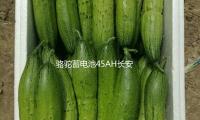 駱駝（tuó）蓄電池45AH長安之星2東風（fēng）小康K07S金（jīn）杯小海獅X30原裝汽車電瓶