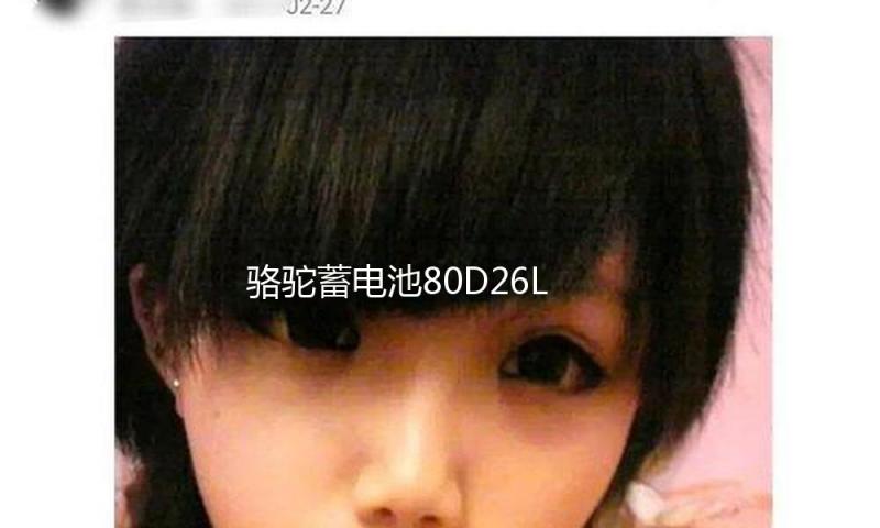 骆驼蓄电池80D26L适配天籁凯美瑞汉兰达普拉多12V70AH汽车电瓶