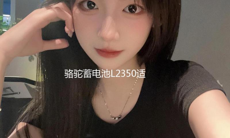 骆驼蓄电池L2350适用于东风景逸长安悦翔睿骋逸动睿成汽车电瓶