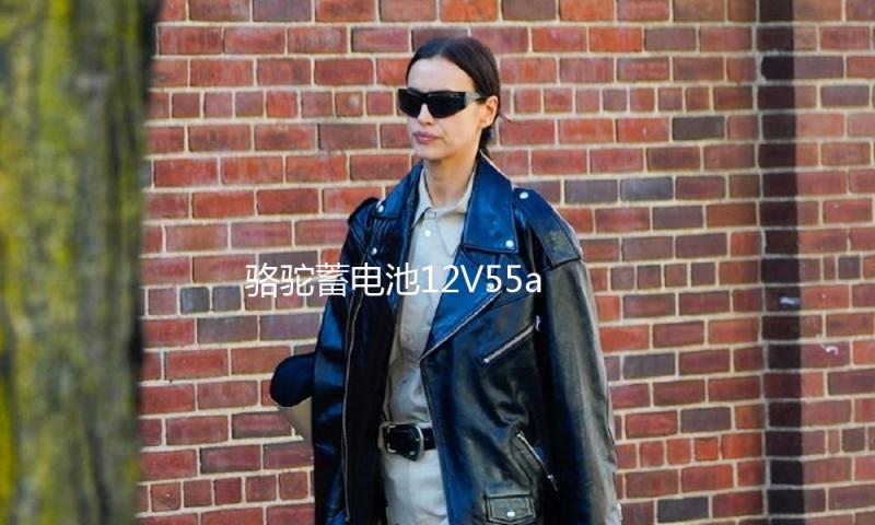 骆驼蓄电池12V55ah汽车电瓶适配宝骏730别克凯越乐风景程85550