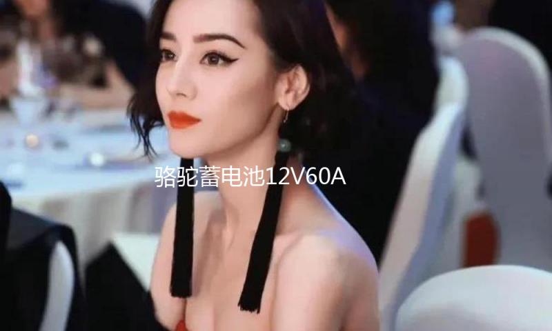 骆驼蓄电池12V60AH适配比亚迪F3起亚K3东风风光580汽车电瓶55D23