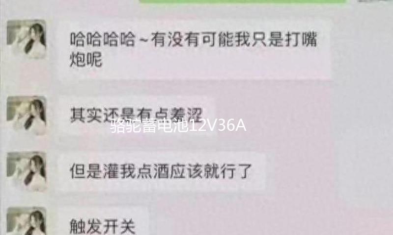 骆驼蓄电池12V36AH汽车电瓶逆变背机适配铃木奥拓飞度锋范三轮车