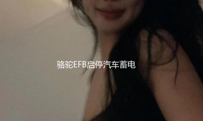 骆驼EFB启停汽车蓄电池12V75AH福特福克斯翼虎锐界蒙迪欧原装电瓶