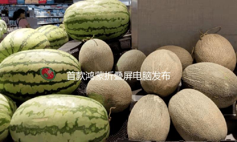 首款鸿蒙折叠屏电脑发布 国产操作系统在个人电脑领域实现新突破 — 新京报
