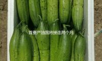 首要產（chǎn）油國將接連兩個月超預期增產（chǎn）