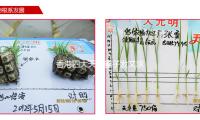 香港四大天王妻子發文求助：剛到，包就被搶了，定位在意（yì）大利米蘭