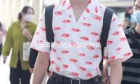 麥田被投進金屬（shǔ）尖利物致收割機刀片受損 河北臨漳公安（ān）：立（lì）案（àn）查詢 — 新京報